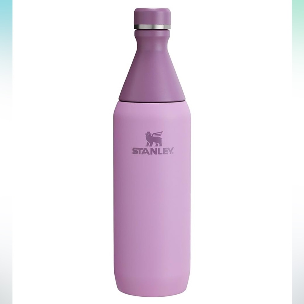 Stanley All Day Slim Bottle 20 oz - Picture 2 of 11